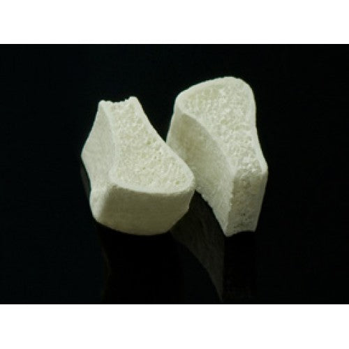 Ilium Tri-Cortical Block Grafts